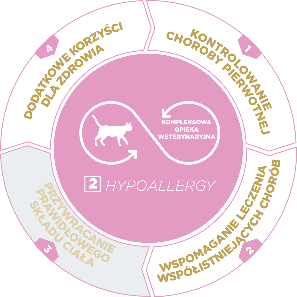 Hypoallergy Hydrolysed Salmon